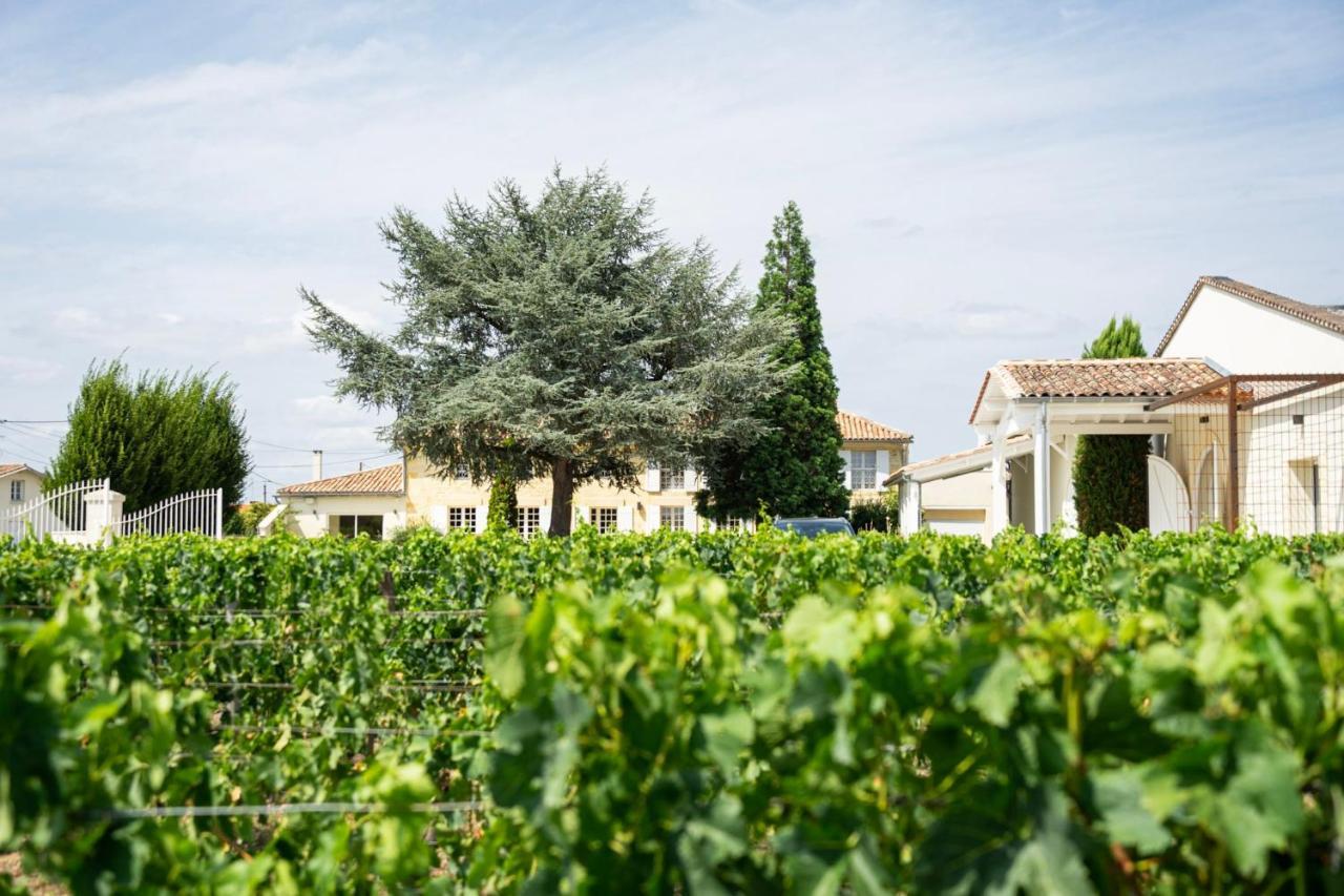 Chateau Haut-Brisson Vignonet Dış mekan fotoğraf